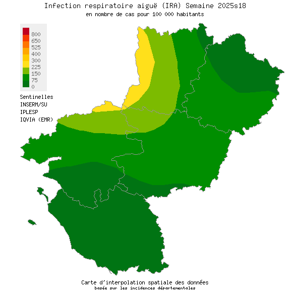Infection respiratoire aiguë (IRA)